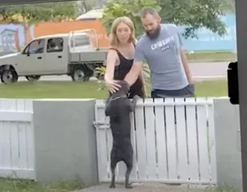 A woman asks strangers to pet her dog through her darkest days