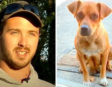 They gave up their bachelor party to rescue sick puppies in the woods