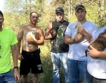 They gave up their bachelor party to rescue sick puppies in the woods photo 2