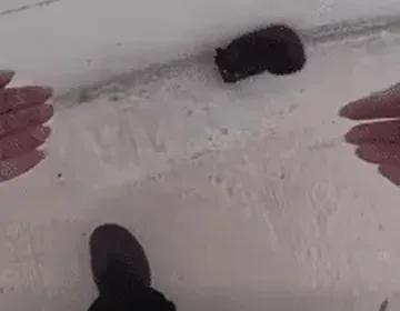 A deputy rescues a tiny kitten from the highway and gives him a home
