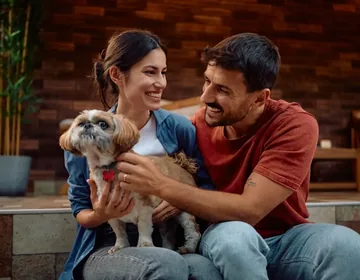 Microchipping pets: preparation without panic